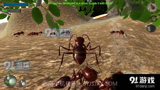 3d蚂蚁模拟器中文版截图1