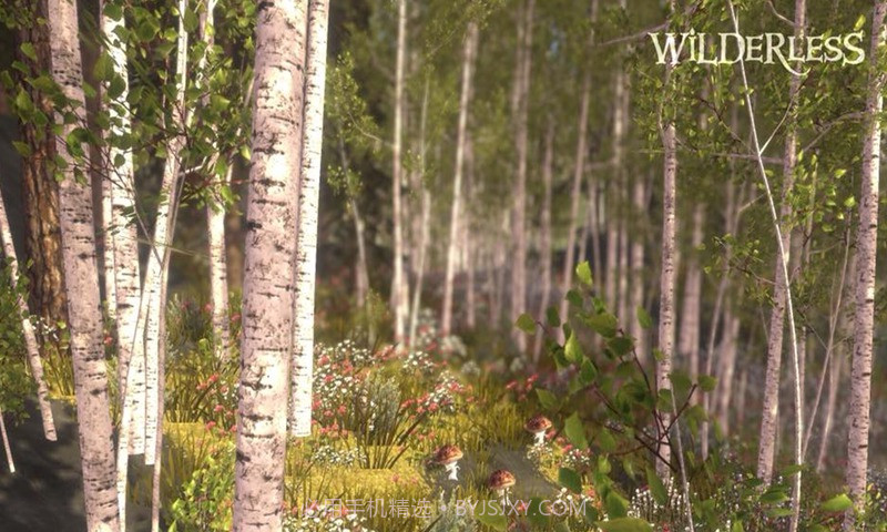 流浪荒野截图3 流浪荒野截图3