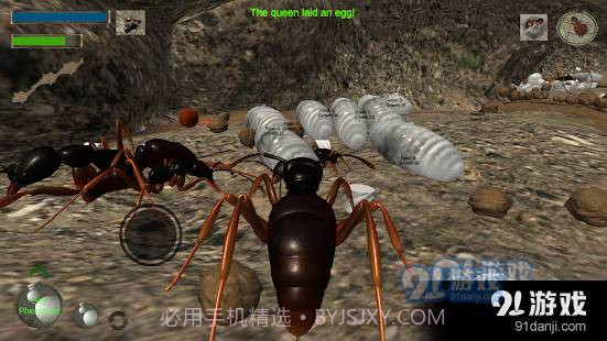 3d蚂蚁模拟器中文版截图3
