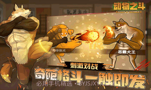 动物之斗截图3 动物之斗截图3