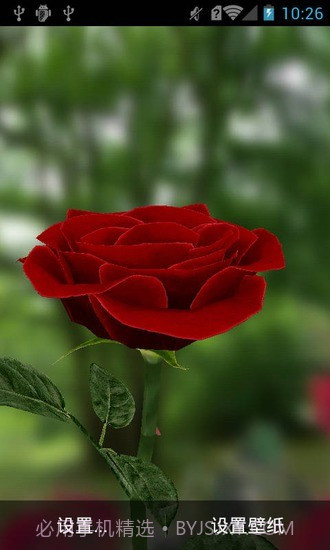 3D玫瑰动态壁纸截图1