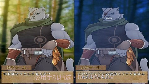 野兽战士的夜晚截图1