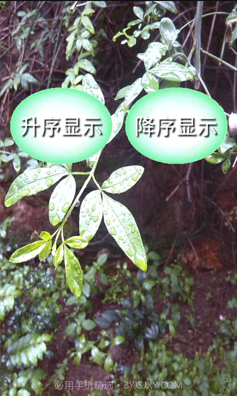 小学数学公式大全截图2 小学数学公式大全截图2