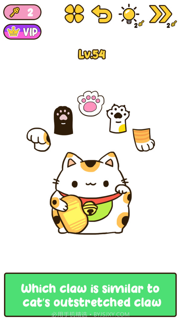 我的IQ大脑截图1 我的IQ大脑截图1