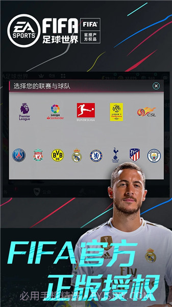 fifa世界足球2008截图1