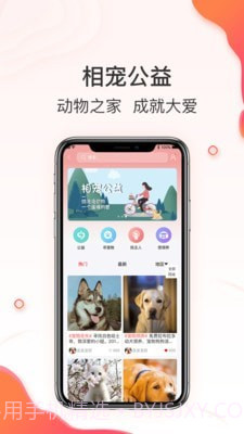 相宠截图5