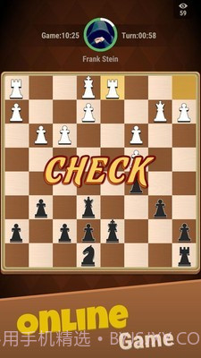 国际象棋城堡截图3