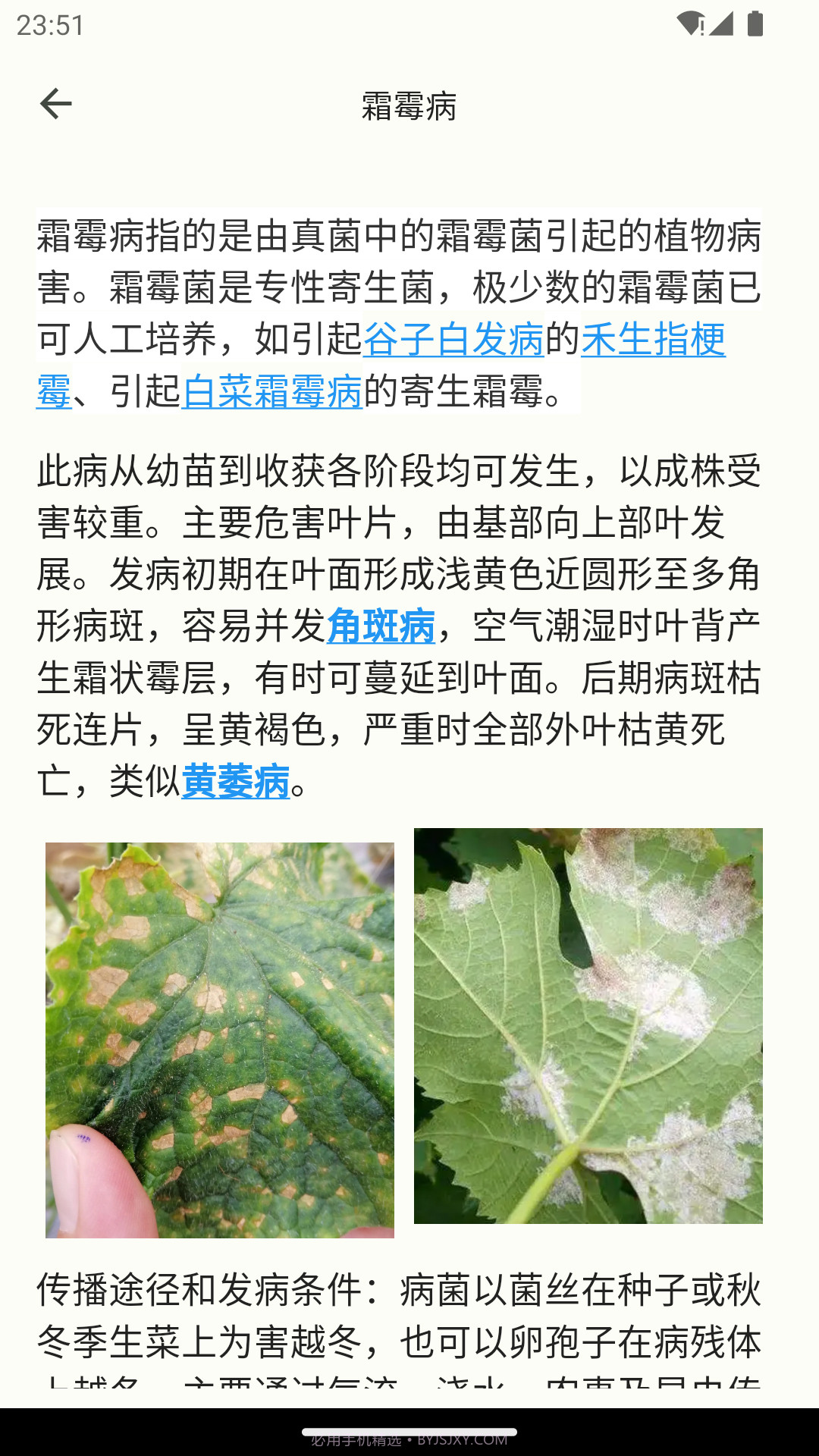 鱼菜记养花种菜截图4 鱼菜记养花种菜截图4