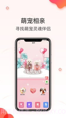 相宠截图2