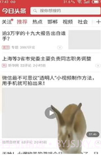 手机屏幕养兔子截图1