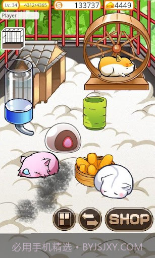 可爱的小仓鼠 Hamster Life截图2