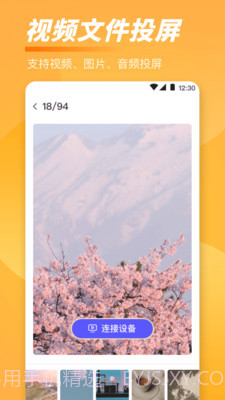 手机TV一键投屏截图2
