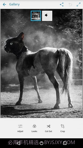 Adobe Photoshop Mix截图4