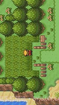 口袋妖怪:釉色截图4 口袋妖怪:釉色截图4