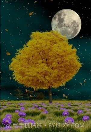 秋天动态壁纸截图4 秋天动态壁纸截图4