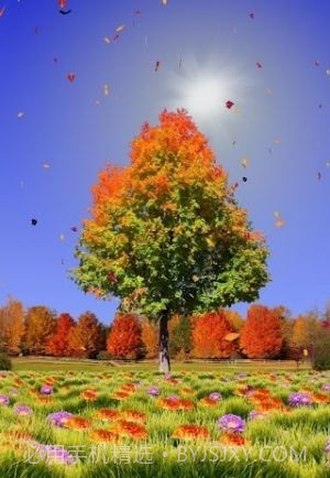 秋天动态壁纸截图1 秋天动态壁纸截图1