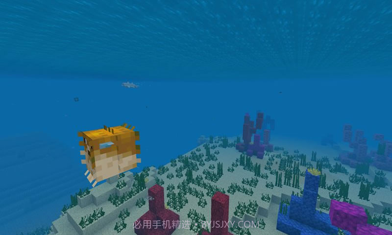 我的世界海洋免费版截图2