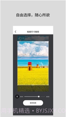 道简视频组件工具截图2