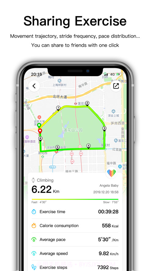 wearfitpro表盘截图2