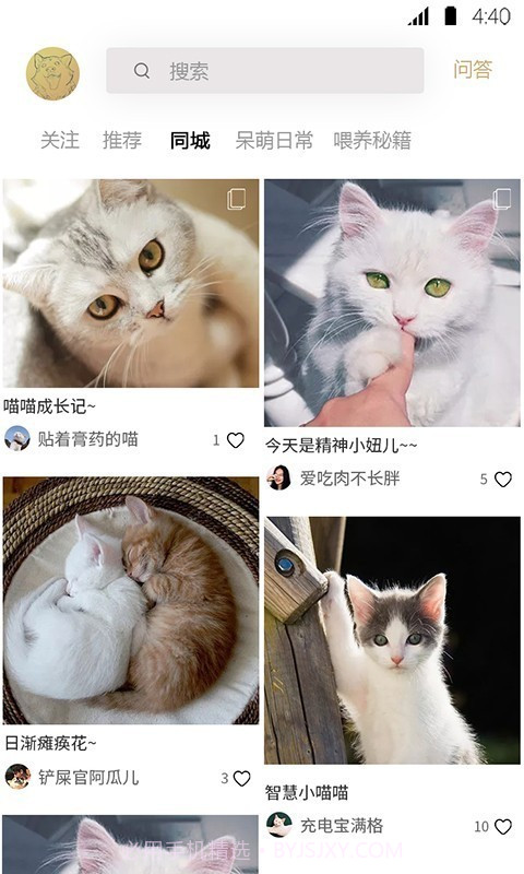 宠物伊甸园截图2