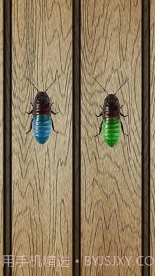 蟑螂终极淘汰赛截图4 蟑螂终极淘汰赛截图4