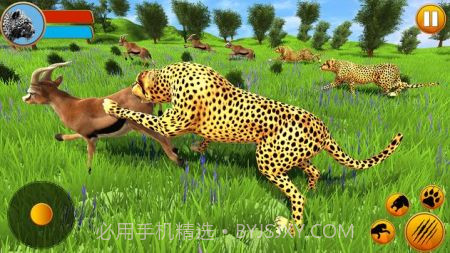 猎豹家庭模拟器截图2 猎豹家庭模拟器截图2