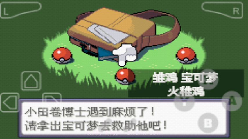 口袋妖怪绿宝石精装版截图3 口袋妖怪绿宝石精装版截图3