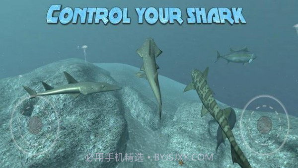 真正的鲨鱼模拟器截图3 真正的鲨鱼模拟器截图3