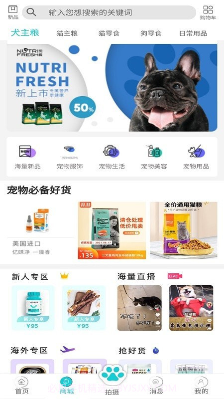 分分宠截图2 分分宠截图2