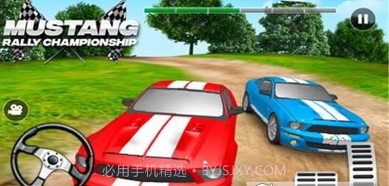 赛车拉力锦标赛截图3 赛车拉力锦标赛截图3