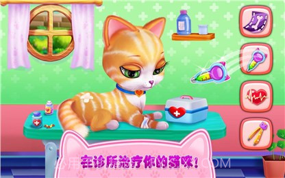 我的喵星朋友截图2 我的喵星朋友截图2