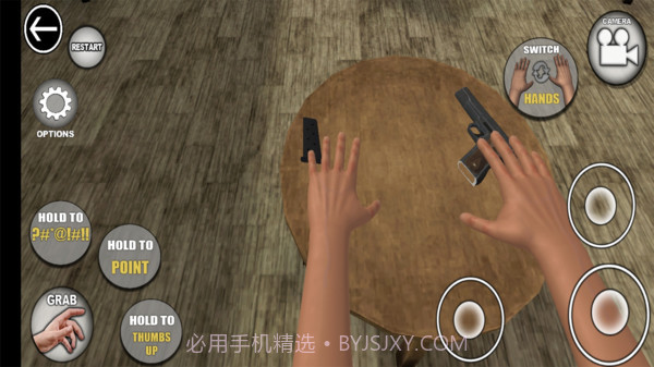 手掌模拟器截图3