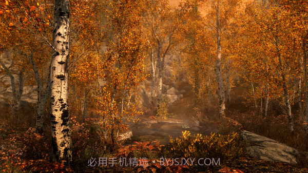 上古卷轴5:天际VR截图4 上古卷轴5:天际VR截图4