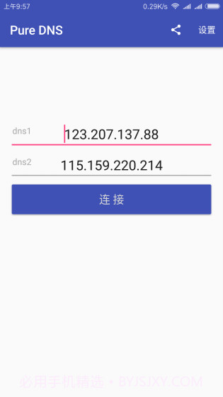 Pure DNS截图1