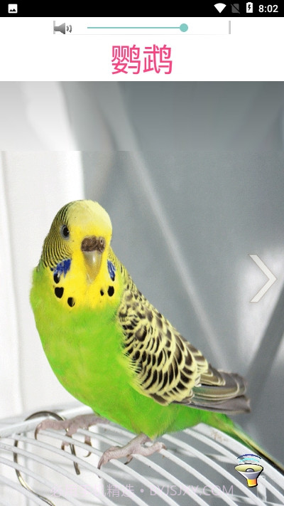 3D丛林之旅截图3