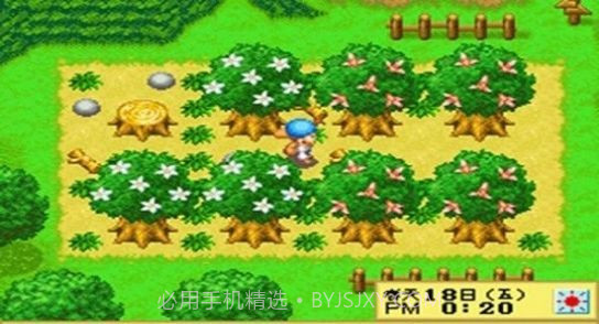 牧场物语精灵驿站中文版截图2