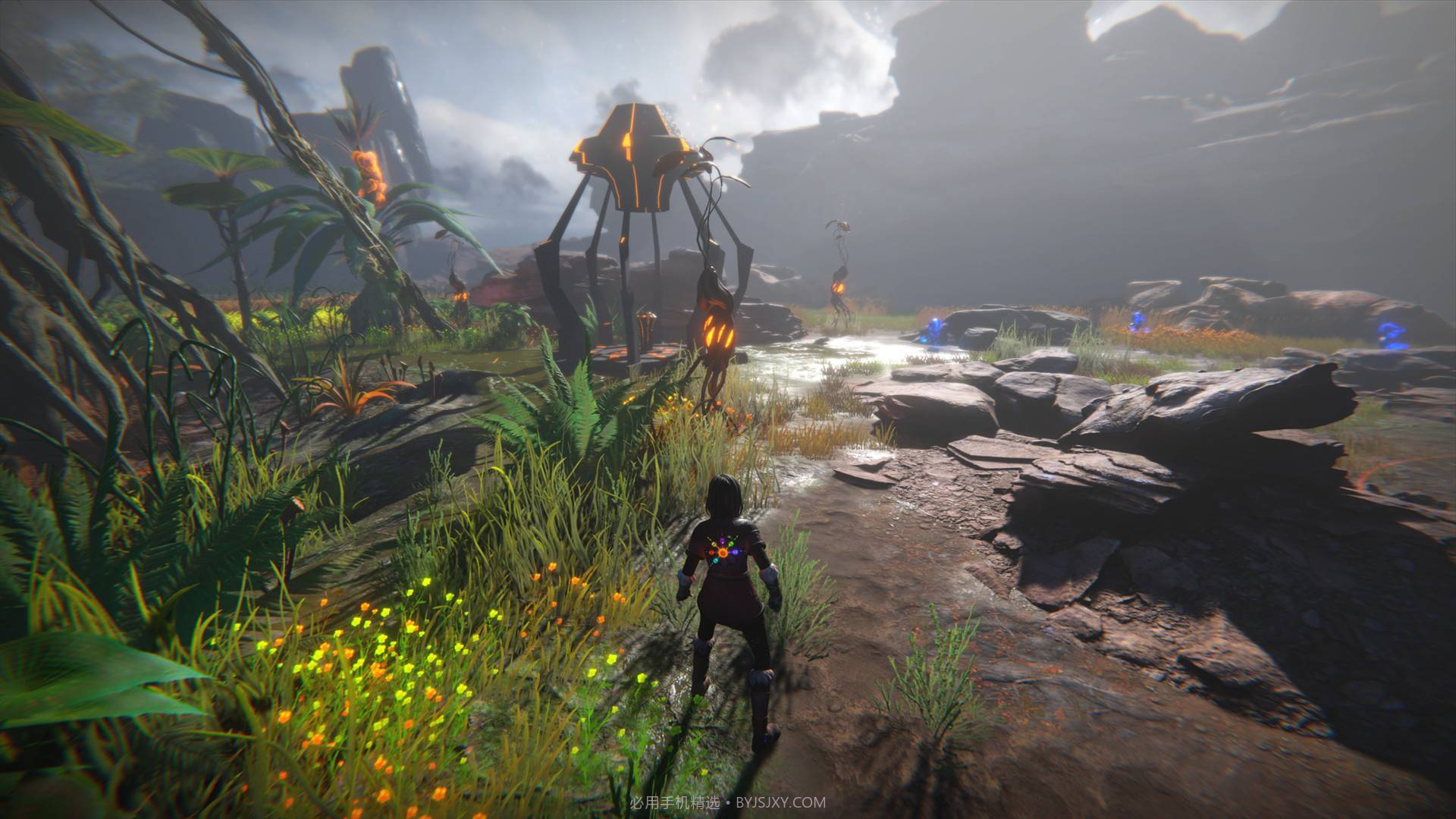 生命之种SeedofLife最新版截图6