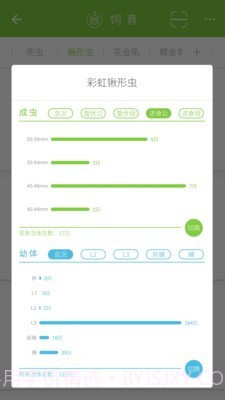 甲虫饲育者截图4 甲虫饲育者截图4