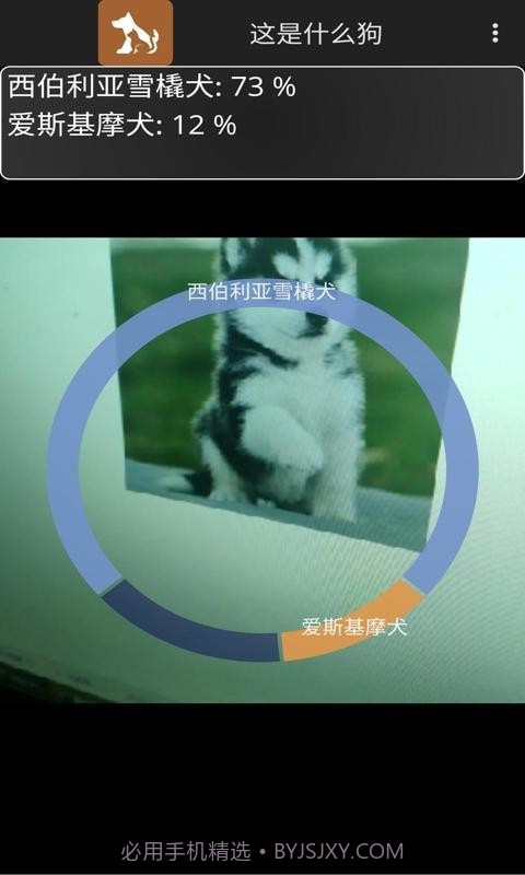 这是什么狗截图5