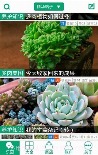 多肉植物软件截图5 多肉植物软件截图5