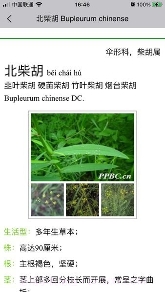 晓草草原植物识别截图3 晓草草原植物识别截图3