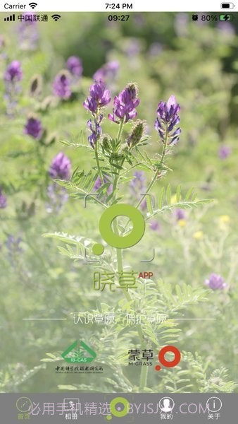 晓草草原植物识别截图4 晓草草原植物识别截图4