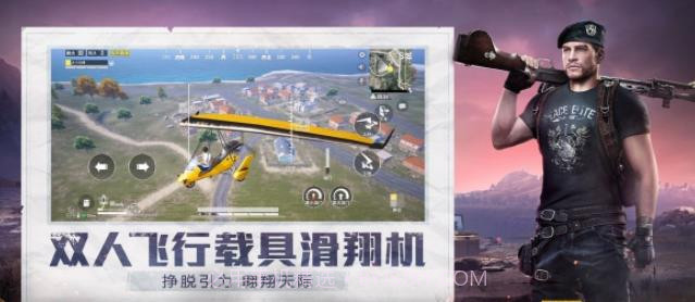 和平精英小蜜蜂助手截图1