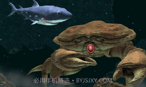 嗜血狂鲨2截图2