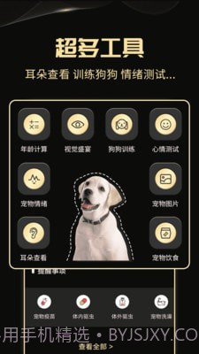 人狗交流神器截图3 人狗交流神器截图3