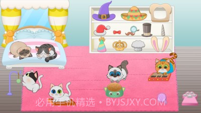 猫咪的生活截图3