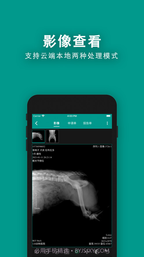 慧龙兽医影像截图2