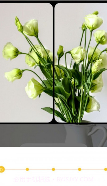 全能拼图相机截图1 全能拼图相机截图1