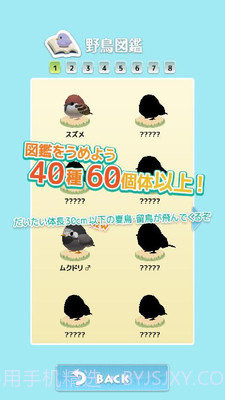 小鸟观察器截图4 小鸟观察器截图4