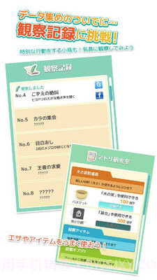 小鸟观察器截图2 小鸟观察器截图2